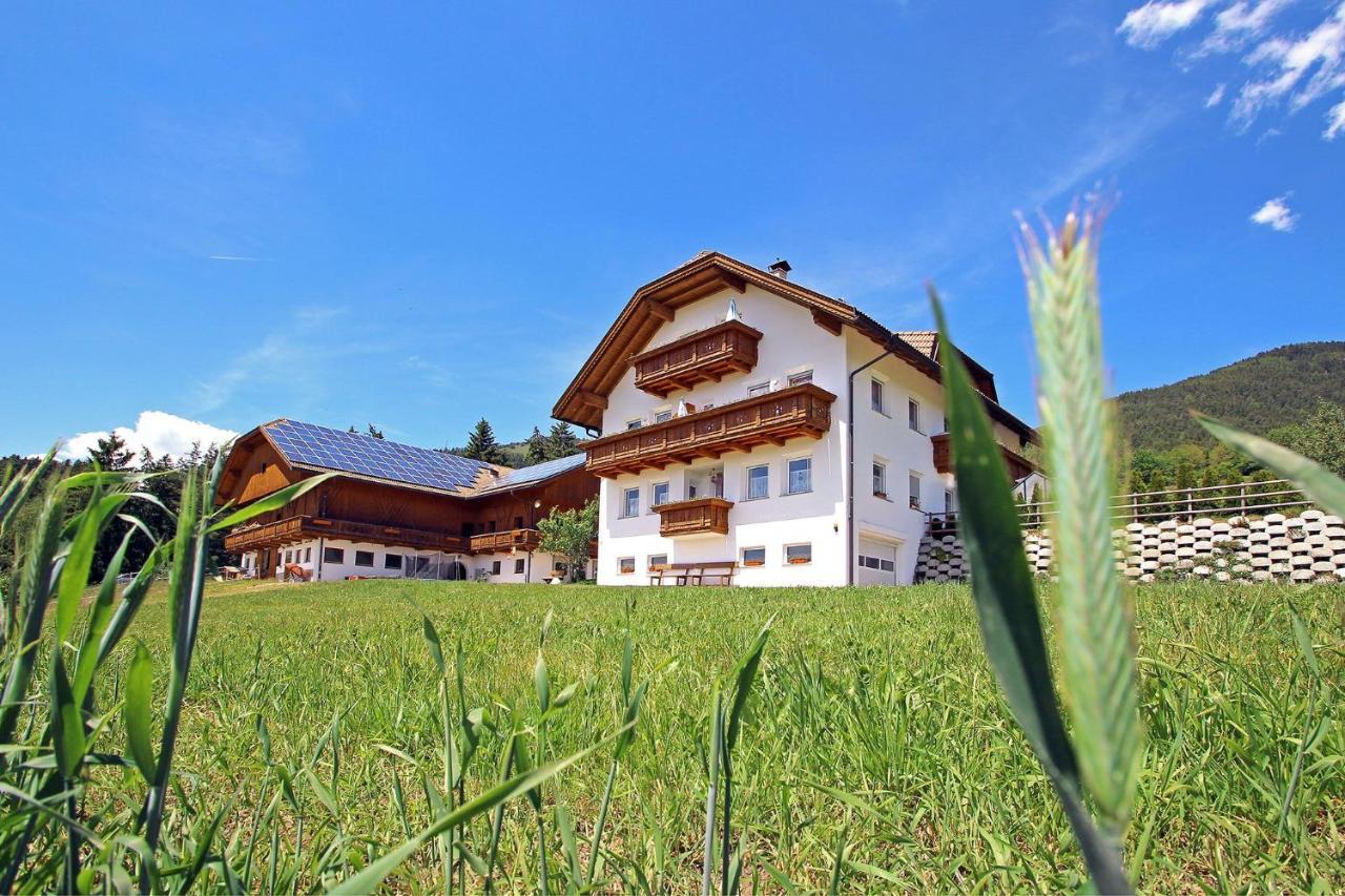 Niederhaeusererhof ฟัลเซส ภายนอก รูปภาพ