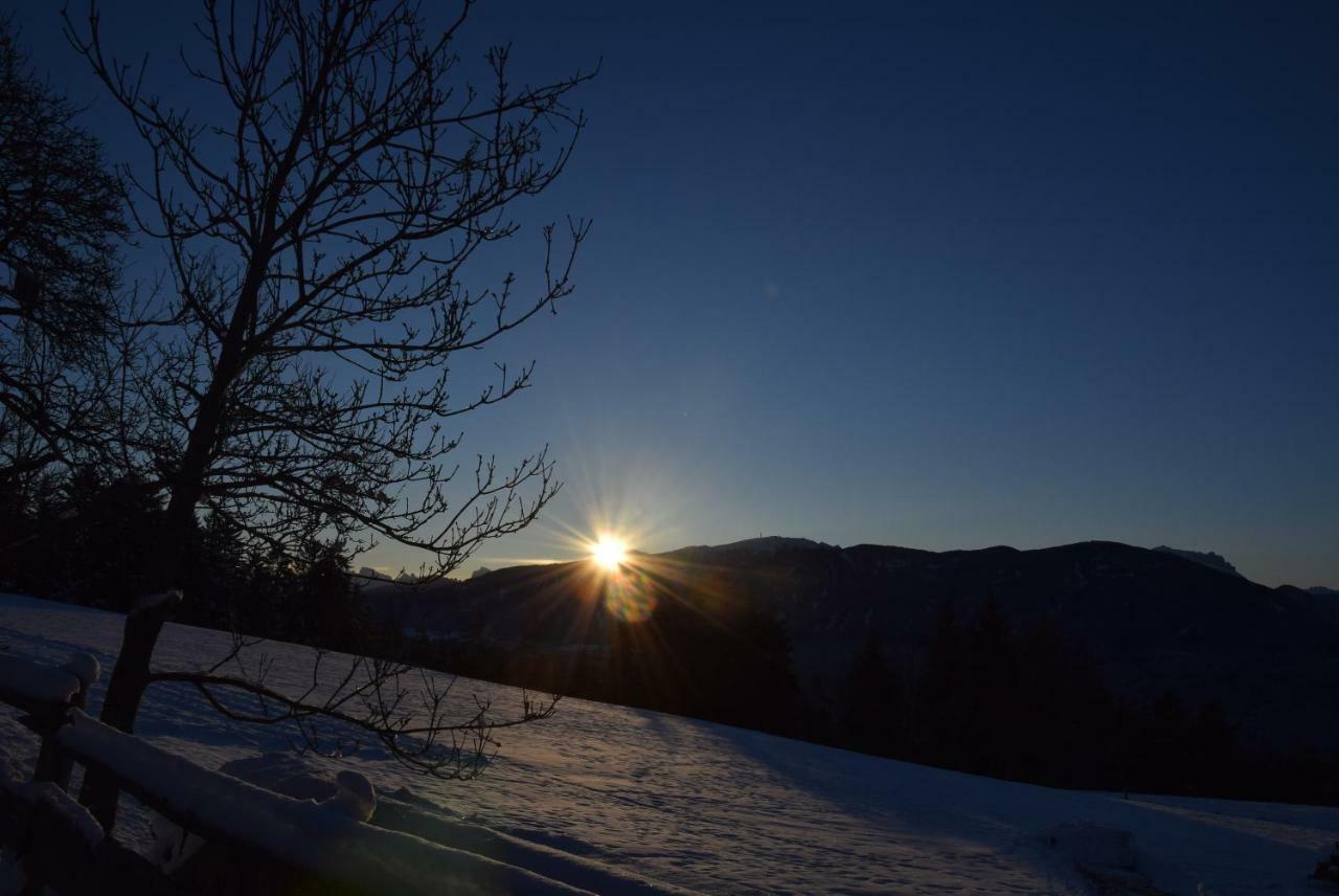 Niederhaeusererhof ฟัลเซส ภายนอก รูปภาพ